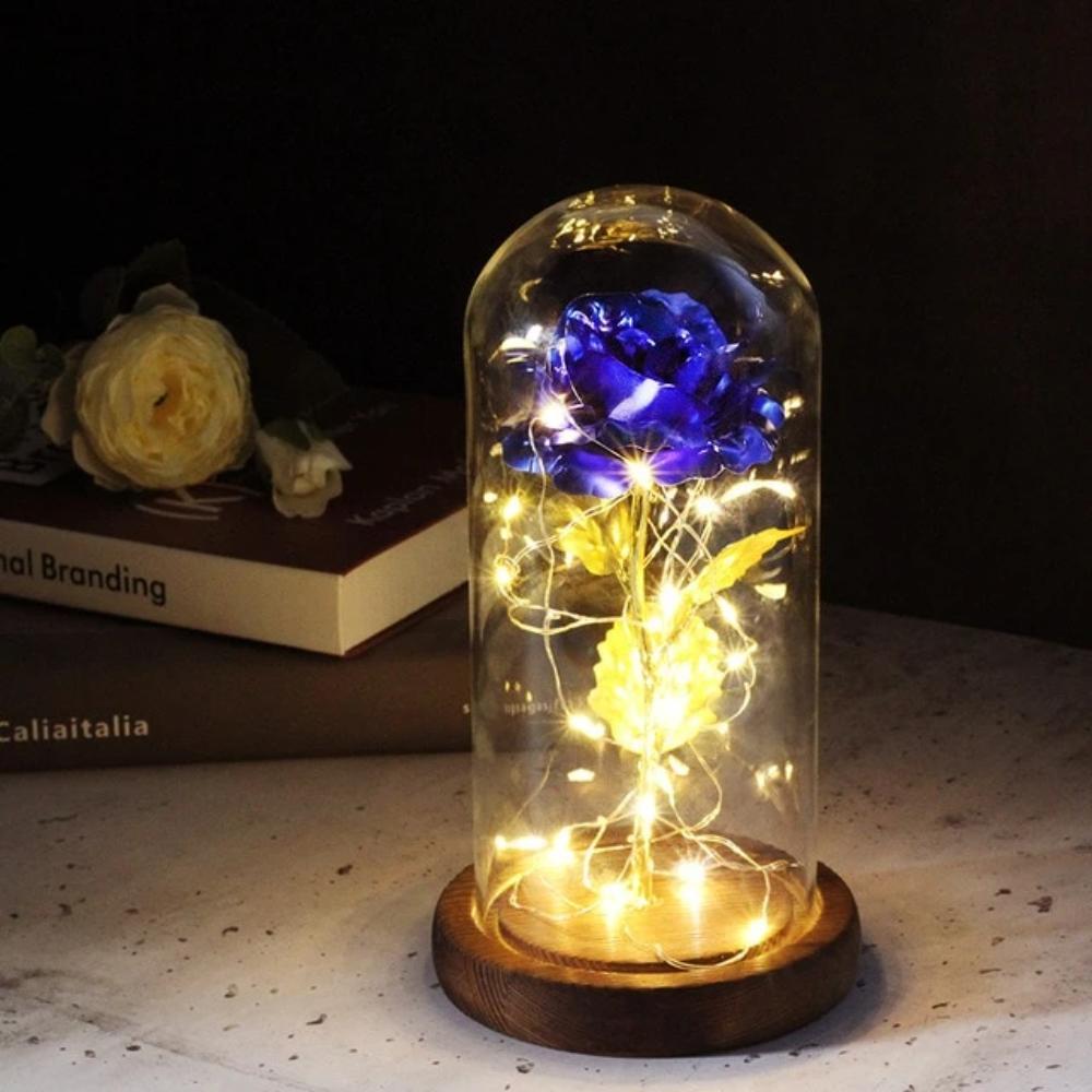 Mother & Child Father & Child Galaxy Enchanted Rose LED Glass Display (34 Designs)