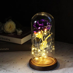 Mother & Child Father & Child Galaxy Enchanted Rose LED Glass Display (34 Designs)