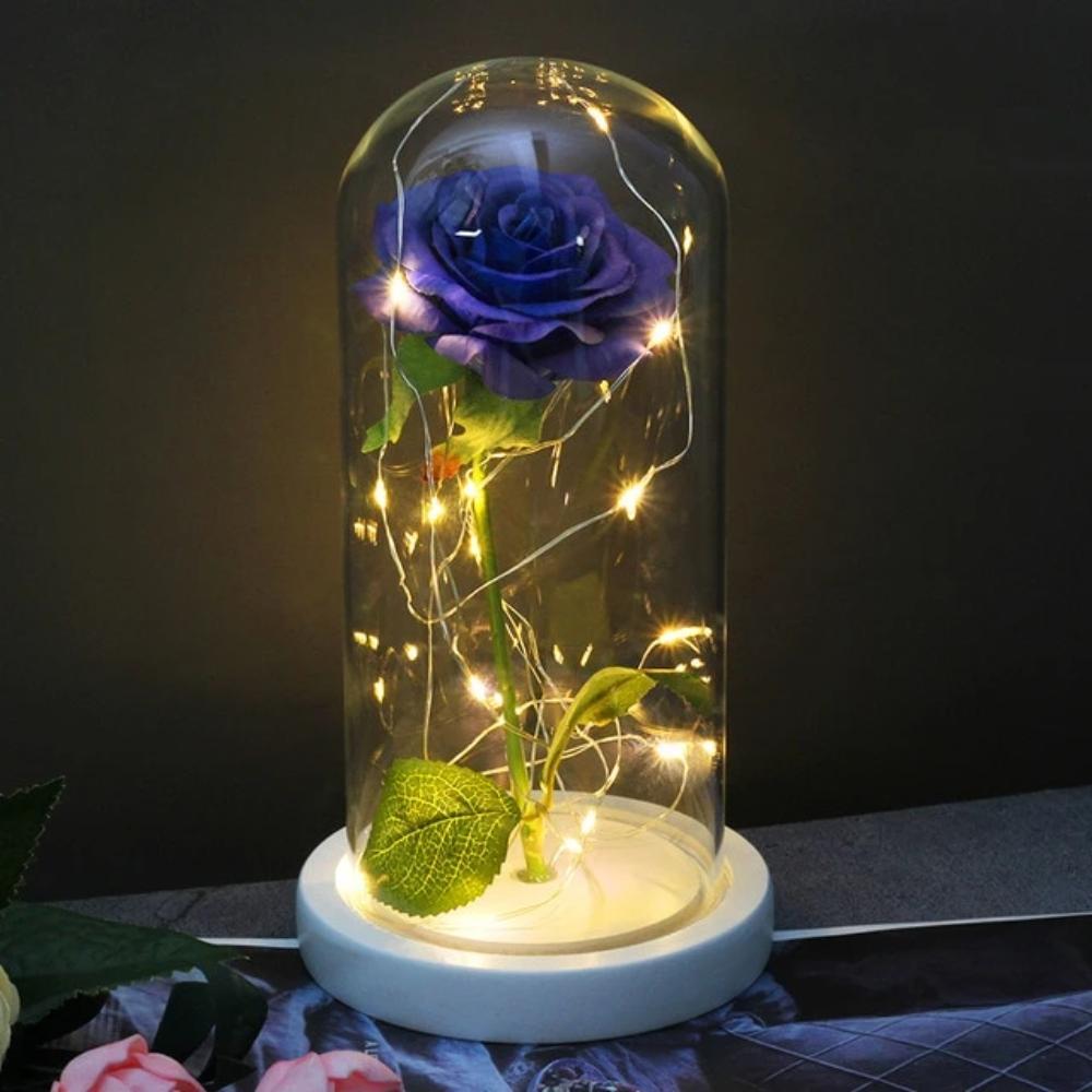 Mother & Child Father & Child Galaxy Enchanted Rose LED Glass Display (34 Designs)