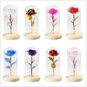 Mother & Child Father & Child Galaxy Enchanted Rose LED Glass Display (34 Designs)