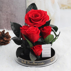 Immortal Enchanted Preserved Rose Bouquet Display (3 Colors)