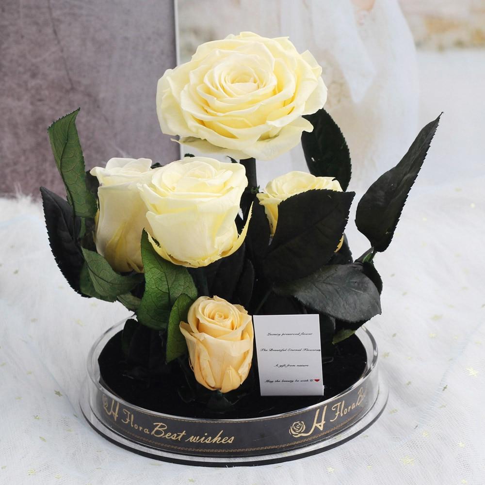 Immortal Enchanted Preserved Rose Bouquet Display (3 Colors)