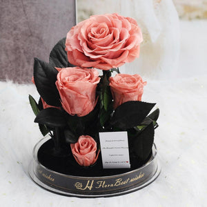 Immortal Enchanted Preserved Rose Bouquet Display (3 Colors)