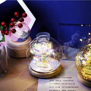 Galaxy Crystal Ball Enchanted Red Rose LED Glass Display (Gold or Silver Stars)