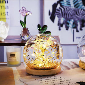 Galaxy Crystal Ball Enchanted Red Rose LED Glass Display (Gold or Silver Stars)