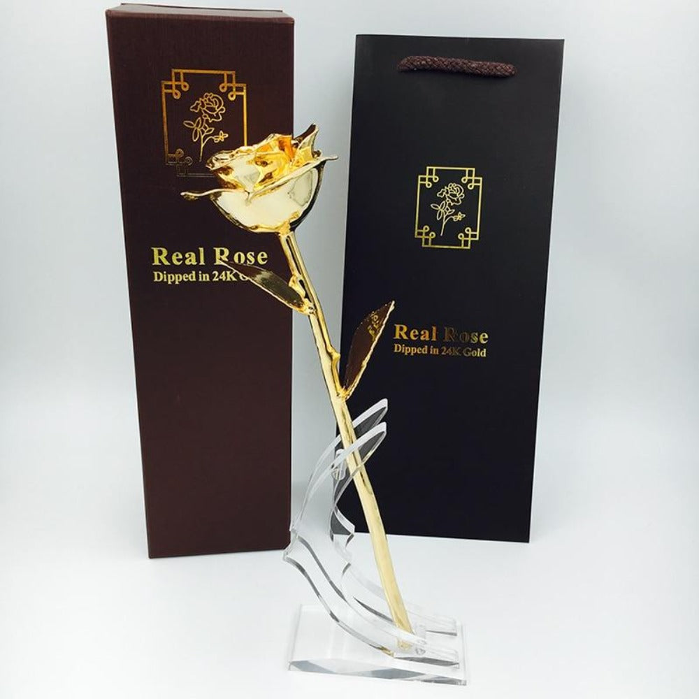 Preserved 24k Gold Long Stem Immortal Rose with Display Stand