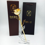 Preserved 24k Gold Long Stem Immortal Rose with Display Stand