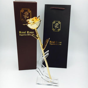 Preserved 24k Gold Long Stem Immortal Rose with Display Stand