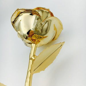 Preserved 24k Gold Long Stem Immortal Rose with Display Stand