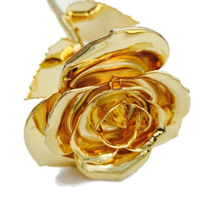 Preserved 24k Gold Long Stem Immortal Rose with Display Stand