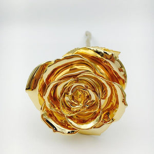 Preserved 24k Gold Long Stem Immortal Rose with Display Stand