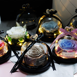 Immortal Enchanted Rose Glass Heart Dome (15 Designs)