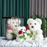 Enchanted Forever Rose Bear Teddy w/Rose (4 Styles)