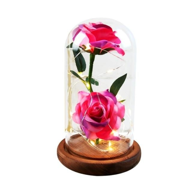 Enchanted Rose LED Glass Display (22 Designs)