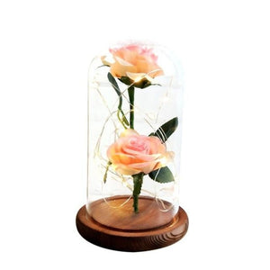 Enchanted Rose LED Glass Display (22 Designs)