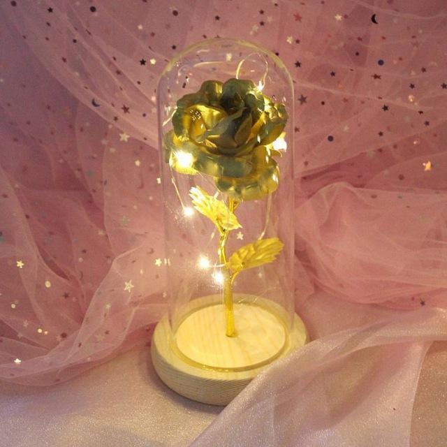 Enchanted Rose LED Glass Display (22 Designs)