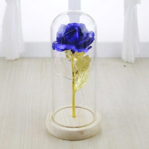 Enchanted Rose LED Glass Display (22 Designs)