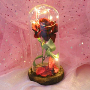 Enchanted Rose LED Glass Display (22 Designs)