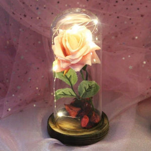 Enchanted Rose LED Glass Display (22 Designs)