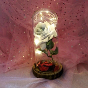 Enchanted Rose LED Glass Display (22 Designs)