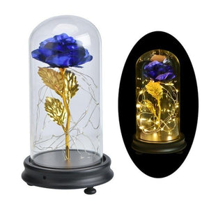 Enchanted Rose LED Glass Display (22 Designs)