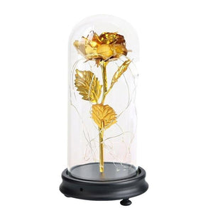 Enchanted Rose LED Glass Display (22 Designs)