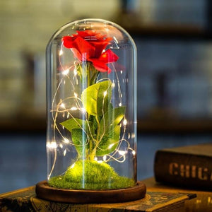 Enchanted Rose LED Glass Display (22 Designs)