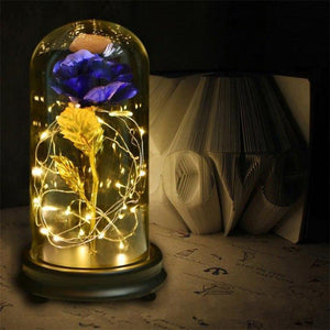 Enchanted Rose LED Glass Display (22 Designs)