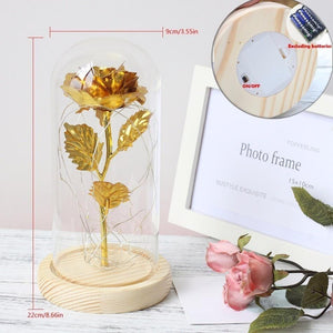 Galaxy Enchanted Rose LED Glass Display (8 Designs)