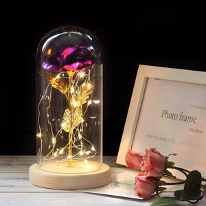 Galaxy Enchanted Rose LED Glass Display (8 Designs)