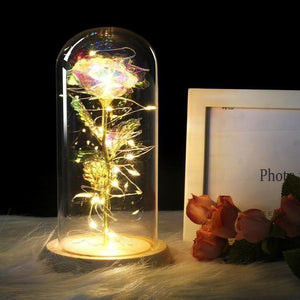 Galaxy Enchanted Rose LED Glass Display (8 Designs)