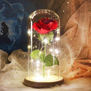 Galaxy Enchanted Rose LED Glass Display (8 Designs)