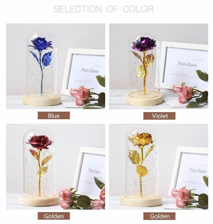 Galaxy Enchanted Rose LED Glass Display (8 Designs)