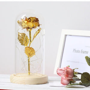 Galaxy Enchanted Rose LED Glass Display (8 Designs)