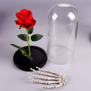 Enchanted Rose Skeleton LED Glass Display