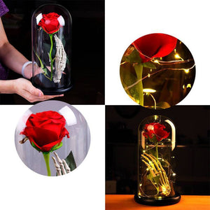 Enchanted Rose Skeleton LED Glass Display