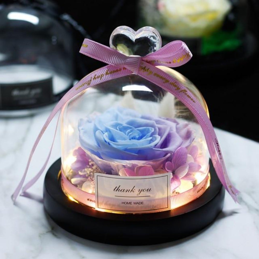 Immortal Enchanted Rose Glass Heart Dome (15 Designs)