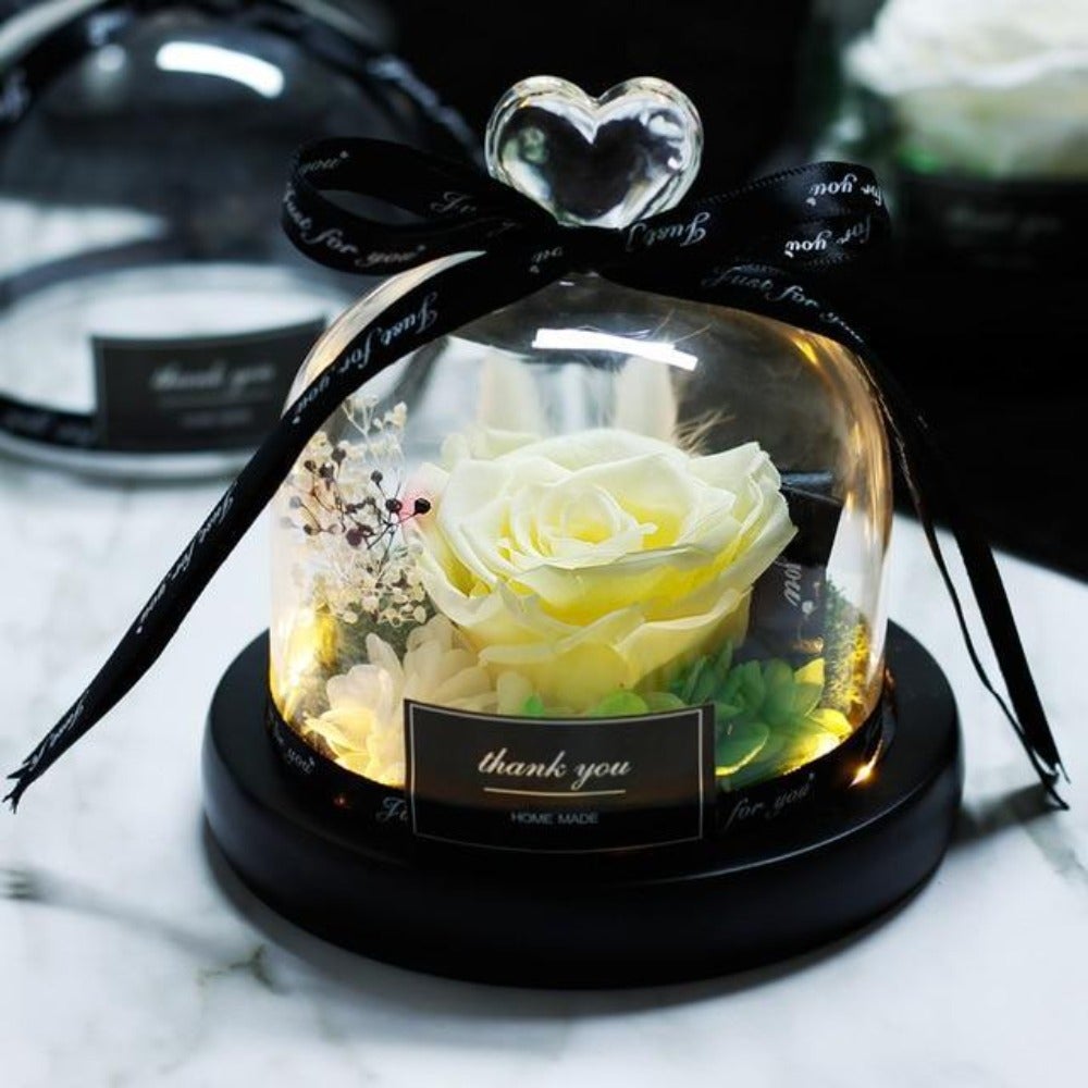 Immortal Enchanted Rose Glass Heart Dome (15 Designs)