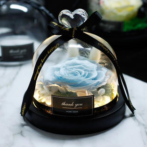 Immortal Enchanted Rose Glass Heart Dome (15 Designs)