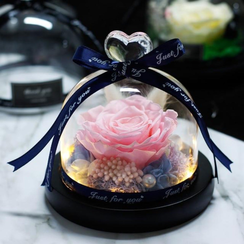 Immortal Enchanted Rose Glass Heart Dome (15 Designs)