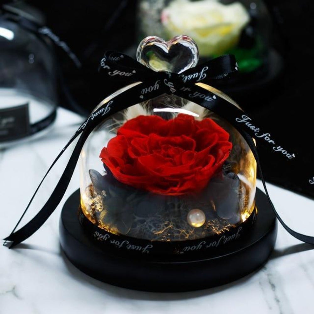 Immortal Enchanted Rose Glass Heart Dome (15 Designs)