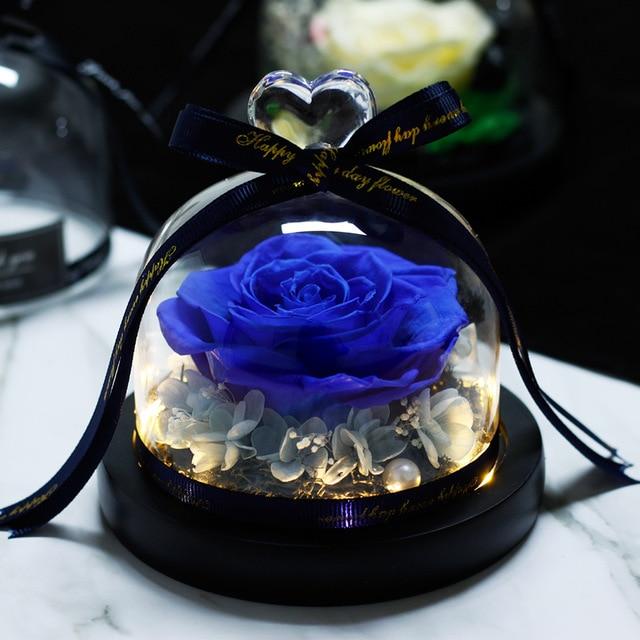 Immortal Enchanted Rose Glass Heart Dome (15 Designs)