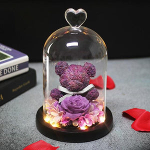 Immortal Preserved Rose Teddy Bear Glass LED Display (4 Colors)