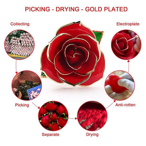 Preserved 24k Gold Long Stem Immortal Rose (4 colors)