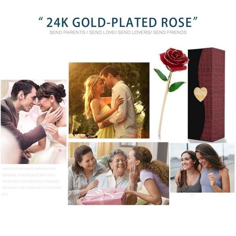 Preserved 24k Gold Long Stem Immortal Rose (4 colors)