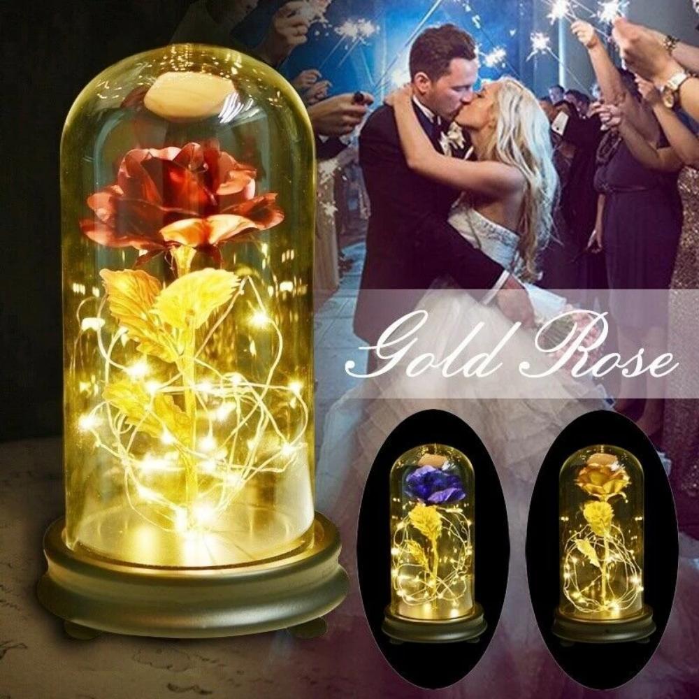 Enchanted Rose LED Glass Display (22 Designs)