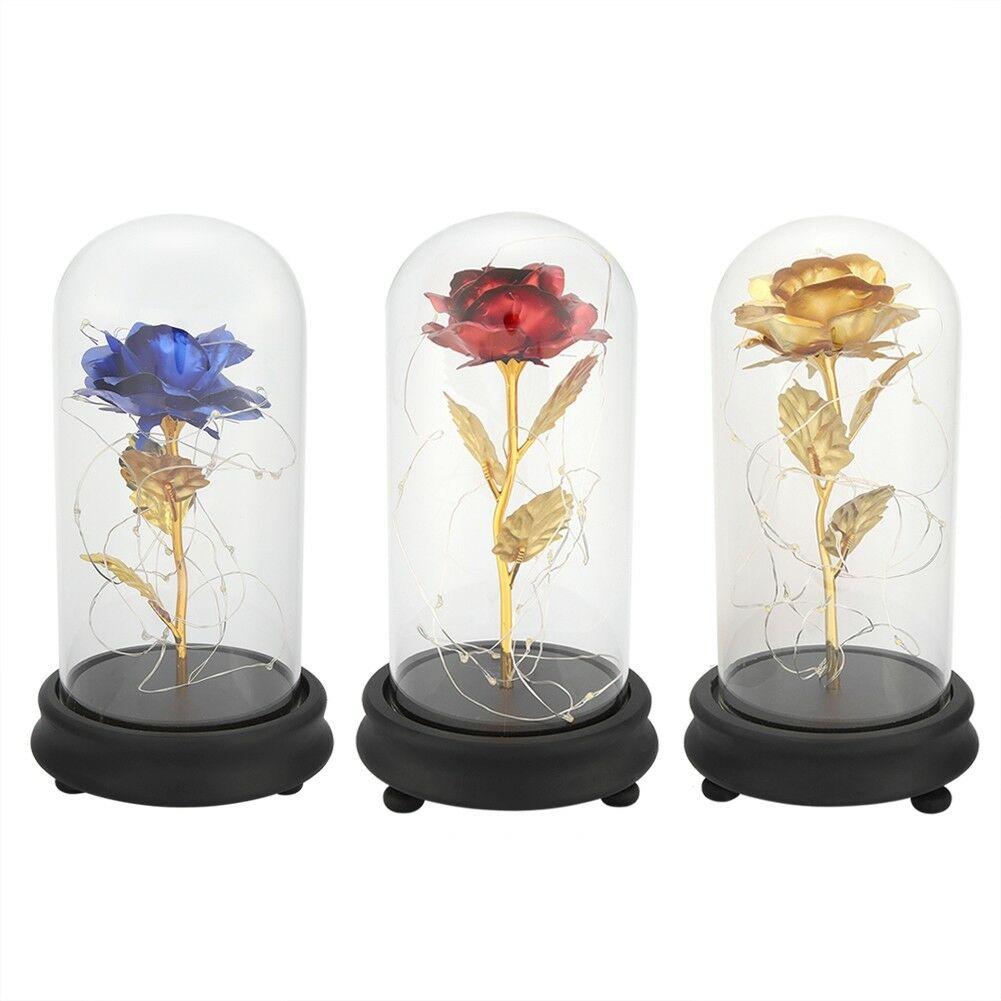 Enchanted Rose LED Glass Display (22 Designs)