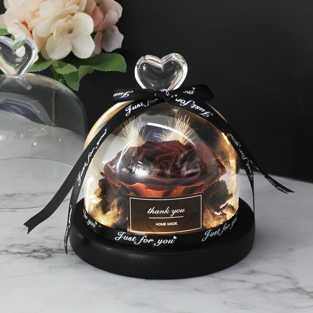 Immortal Enchanted Rose Glass Heart Dome (15 Designs)